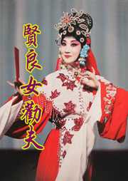 贤良女劝夫听书网