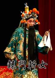 辕门斩女听书网