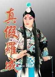 真假罗成听书网