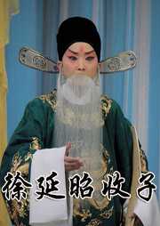 徐延昭收子听书网