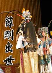 薛刚出世听书网