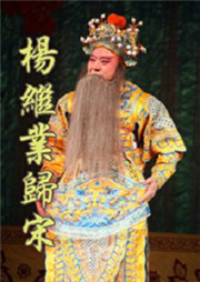 杨继业归宋听书网