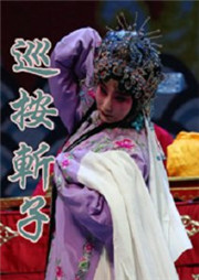 巡按斩子听书网