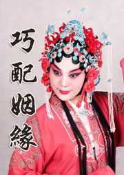 巧配姻缘听书网