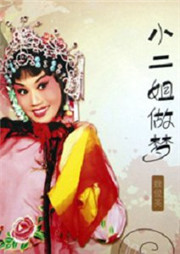 小二姐做梦听书网