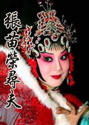 张苗荣寻夫听书网