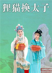 狸猫换太子听书网