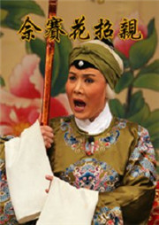 佘赛花招亲听书网