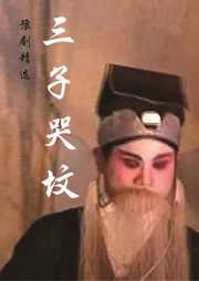 三子哭坟听书网