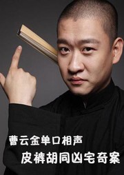 皮裤胡同凶宅奇案听书网