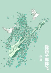 像鸽子那样飞听书网