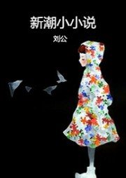 新潮小小说听书网