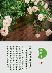 鲜花从来不自卑听书网