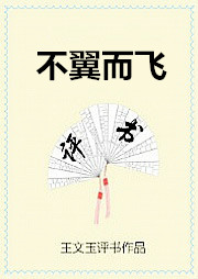 不翼而飞听书网