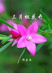 三月桃花开听书网