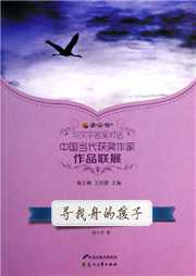 寻找舟的孩子听书网