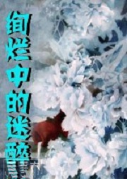 绚烂中迷醉听书网