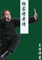 杨家将前传听书网
