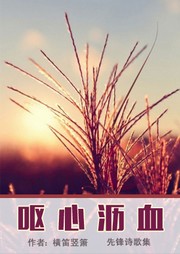 呕心沥血听书网