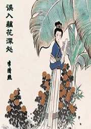 误入藕花深处听书网