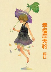 幸福摩天轮听书网