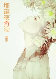 耶诞夜奇迹听书网