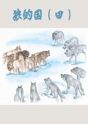 狼的国（四）听书网