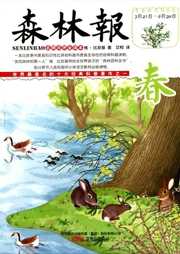 森林报：春听书网