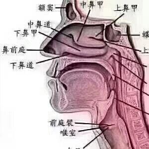 2018会场学习录音听书网