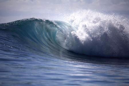 弄潮｜草根赵国栋成长史听书网