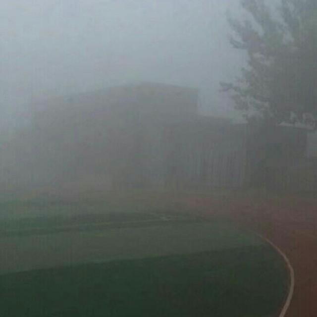 在公司混日子，伤害的是自己听书网