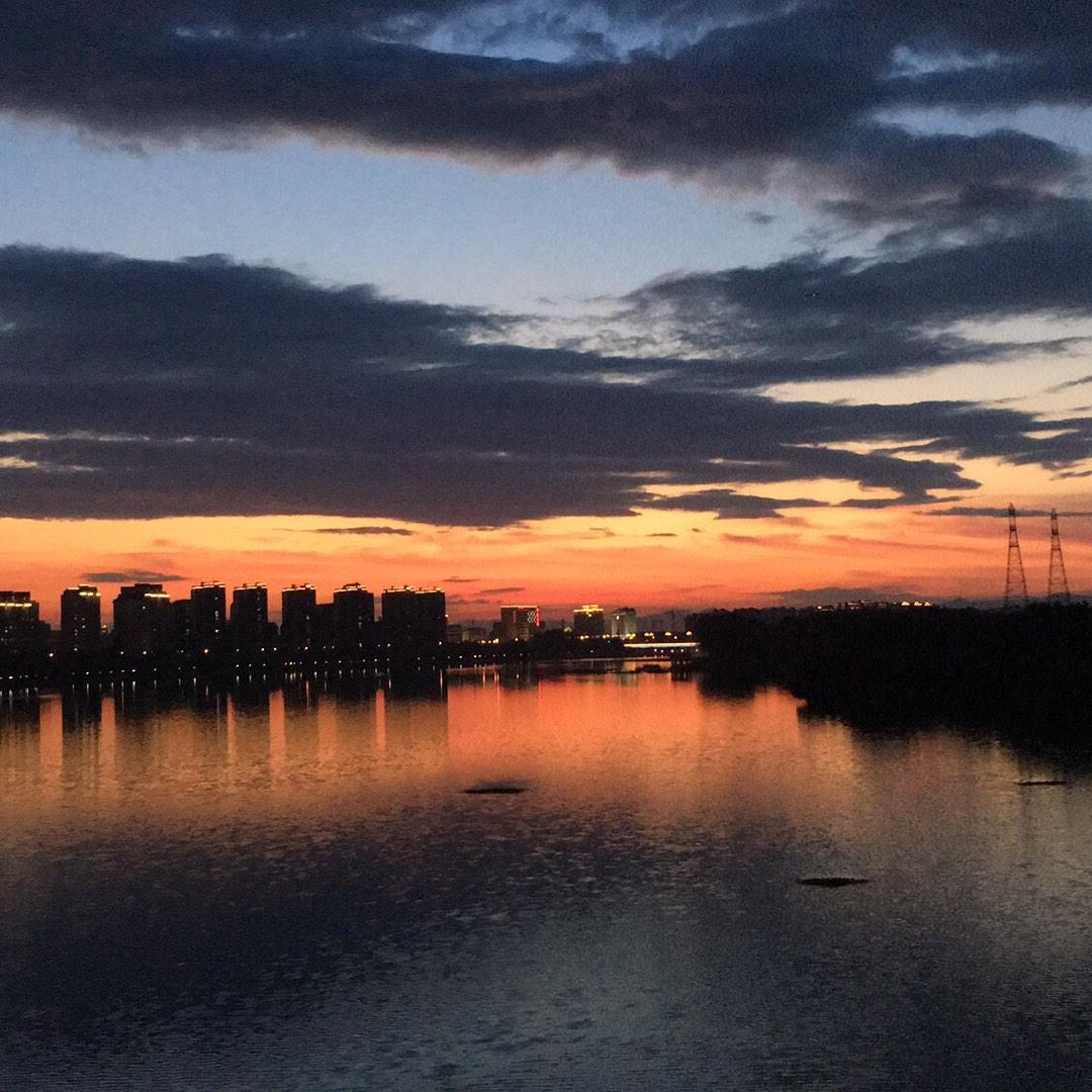 八月推荐书～复制猫听书网