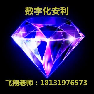 数字化安利成功宝典《精选》飞翔听书网