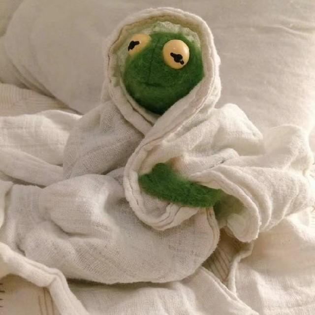 公考申论听书网