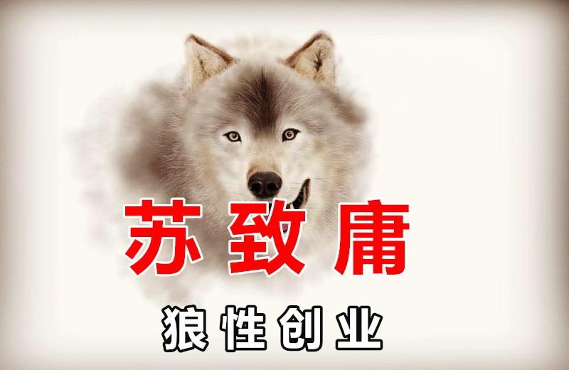 致庸狼性创业讲堂听书网