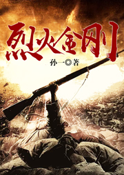 烈火金刚听书网
