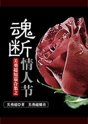 关勇超短篇合集之魂断情人节听书网