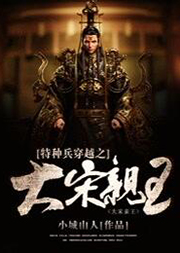 特种兵穿越之大宋亲王听书网