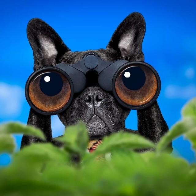 高中生物基础知识手册听书网