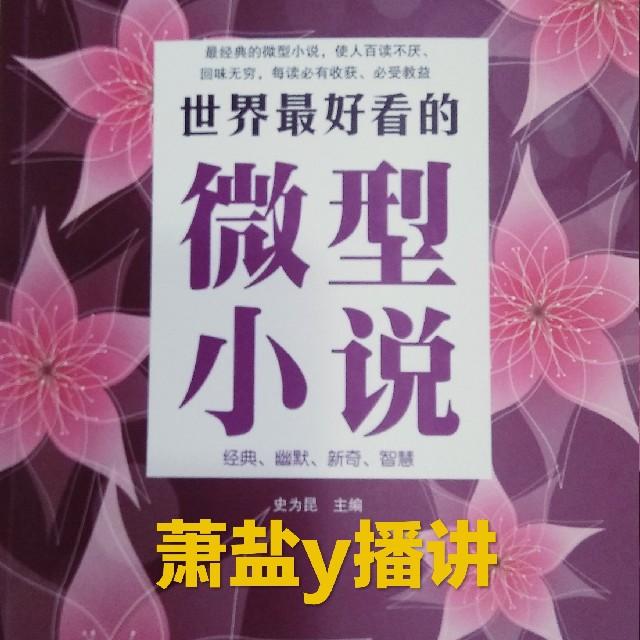 世界最好看的微型小说听书网