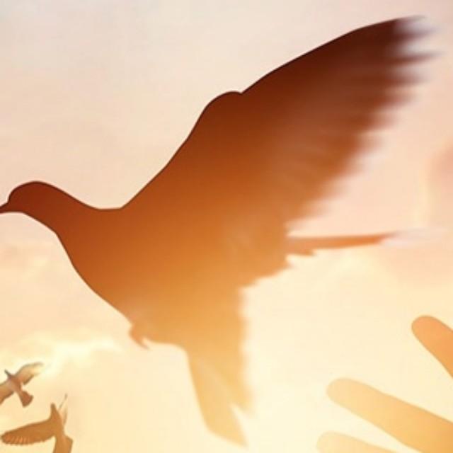 日日精进听书网