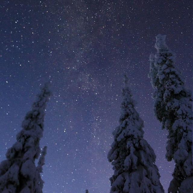 散步朗诵听书网