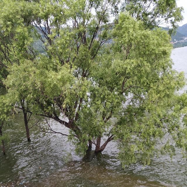 佛教禅修禅语听书网