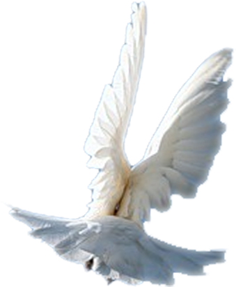 2016-10-30 14:26:43简介:江秀琴牧师讲道,内在生活系列,等候神,渴慕
