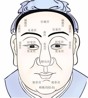 从零开始学面相