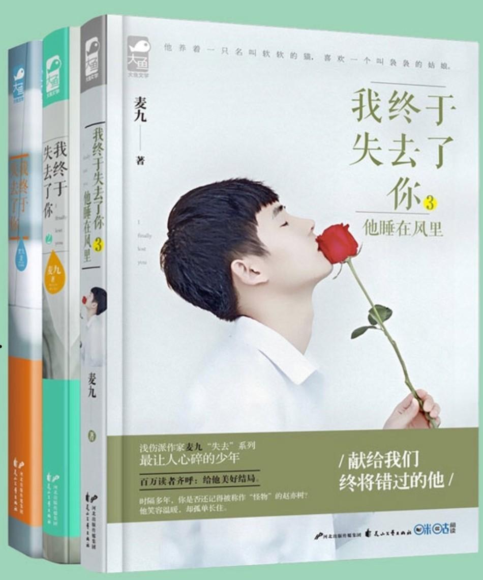 我终于失去了你第一部