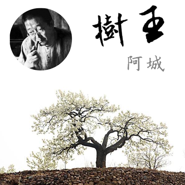 21:00:25简介:每周周三,周六晚:更新阿城曾在意大利文版《树王》的