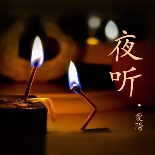 夜听～听鬼事,品人生!听书网